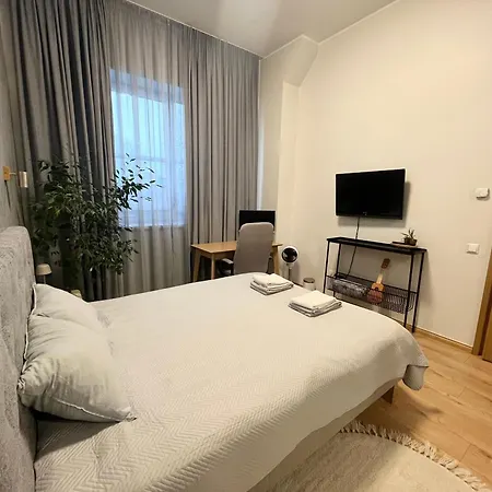 New With Sauna Near Tamula